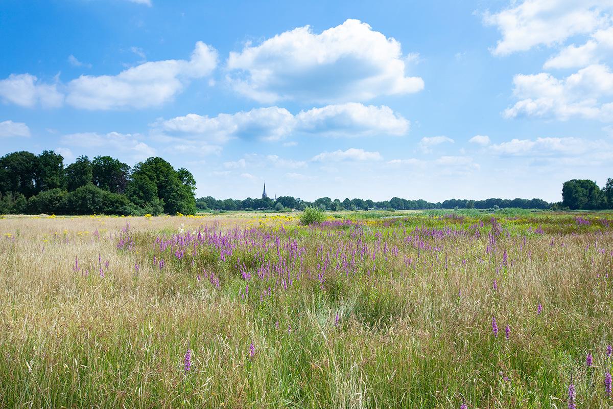 Afbeelding Projectboek Netversterking Schouwen-Duiveland Tholen Bergen op Zoom