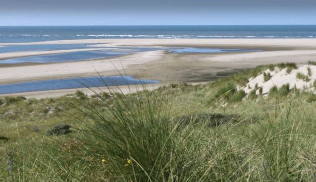 Slufterstrand Maasvlakte