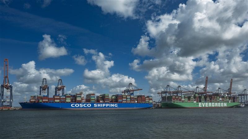 Containerschepen op de maasvlakte